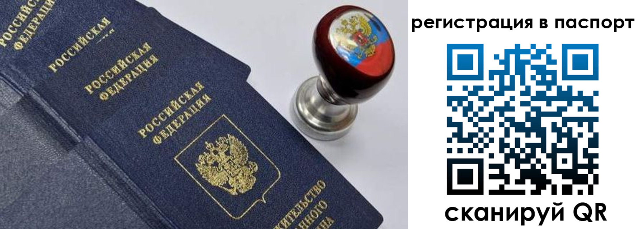прописка поиск в Новомосковске